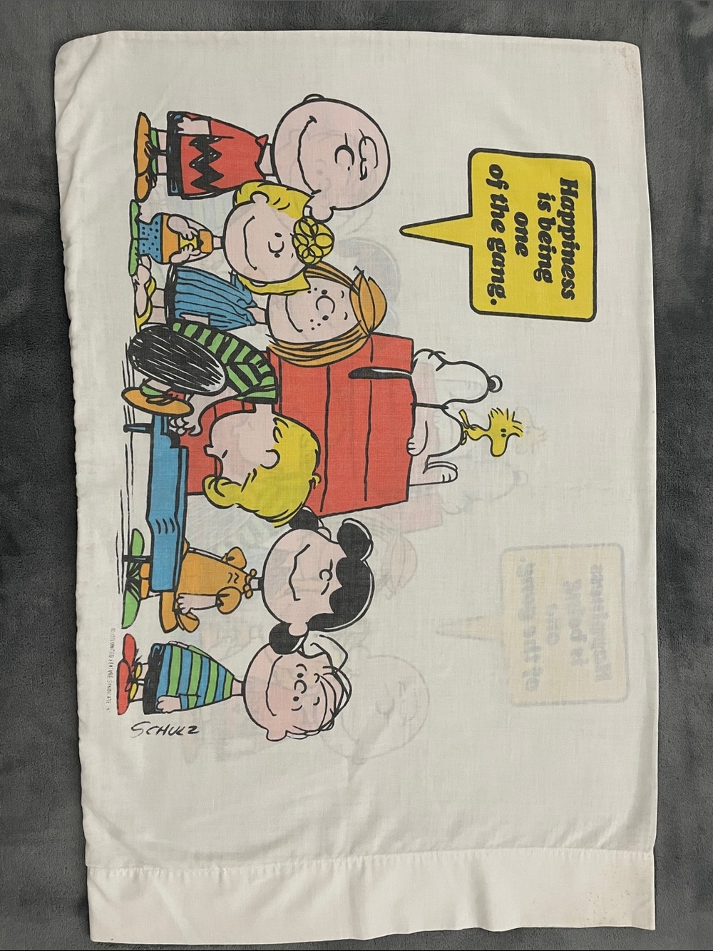Vintage 1970s Peanuts Charlie Brown pillowcase